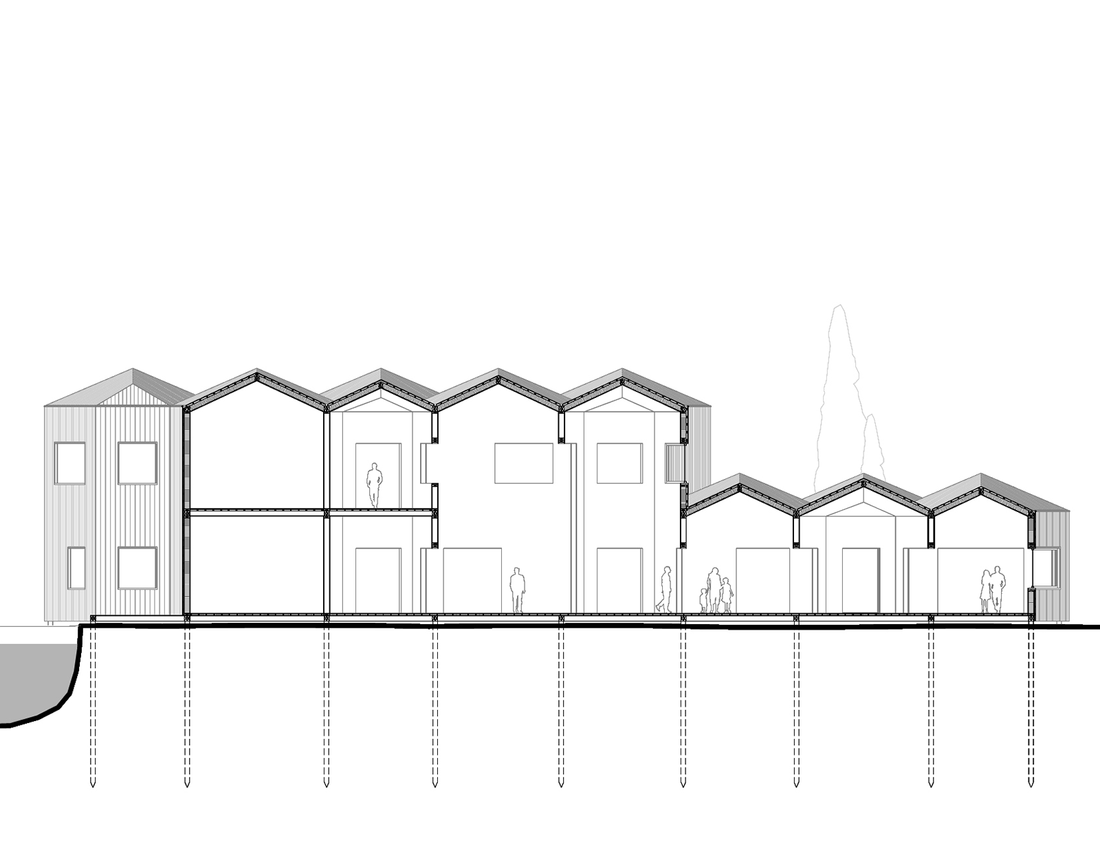 Centre ornithologique pour la lagune de Venise - Coupe du bâtiment d’accueil ossature bois modulaire
