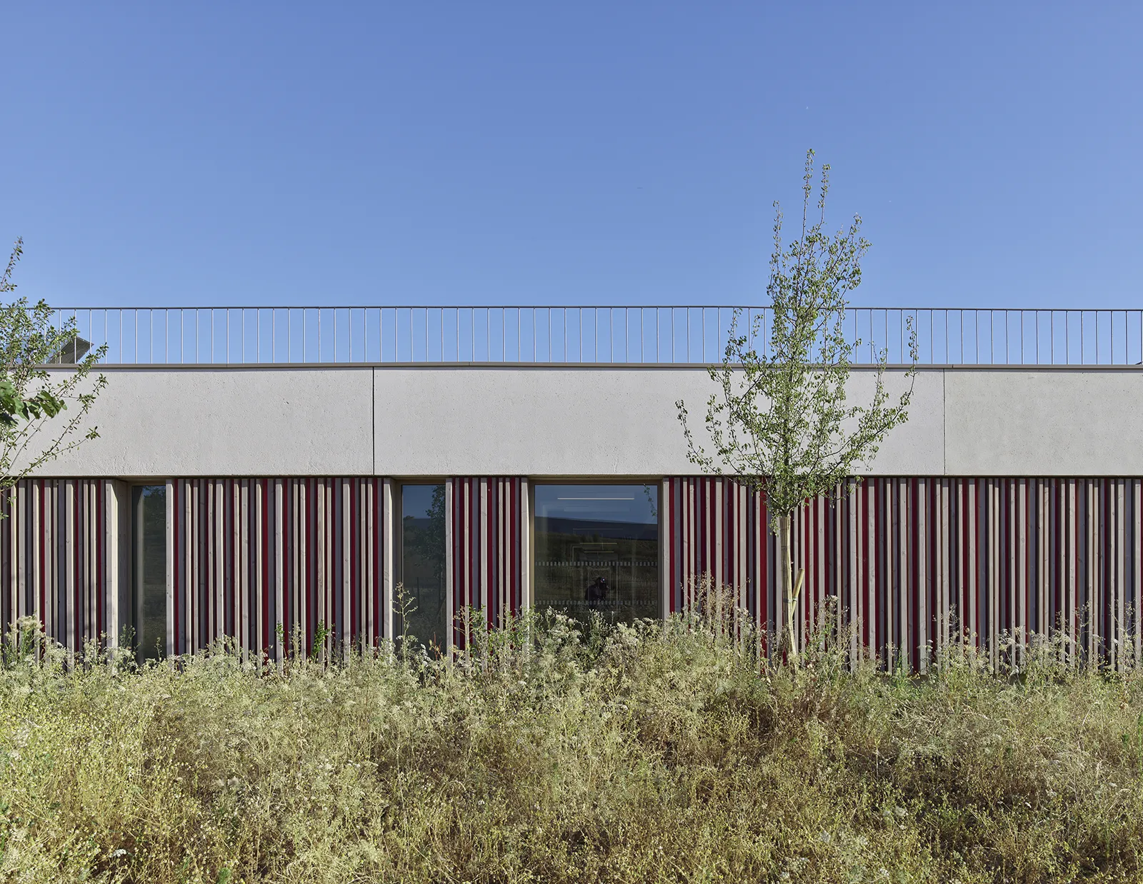 Vue d’une façade bardage bois du groupe scolaire Chanteloup à Moissy-Cramayel