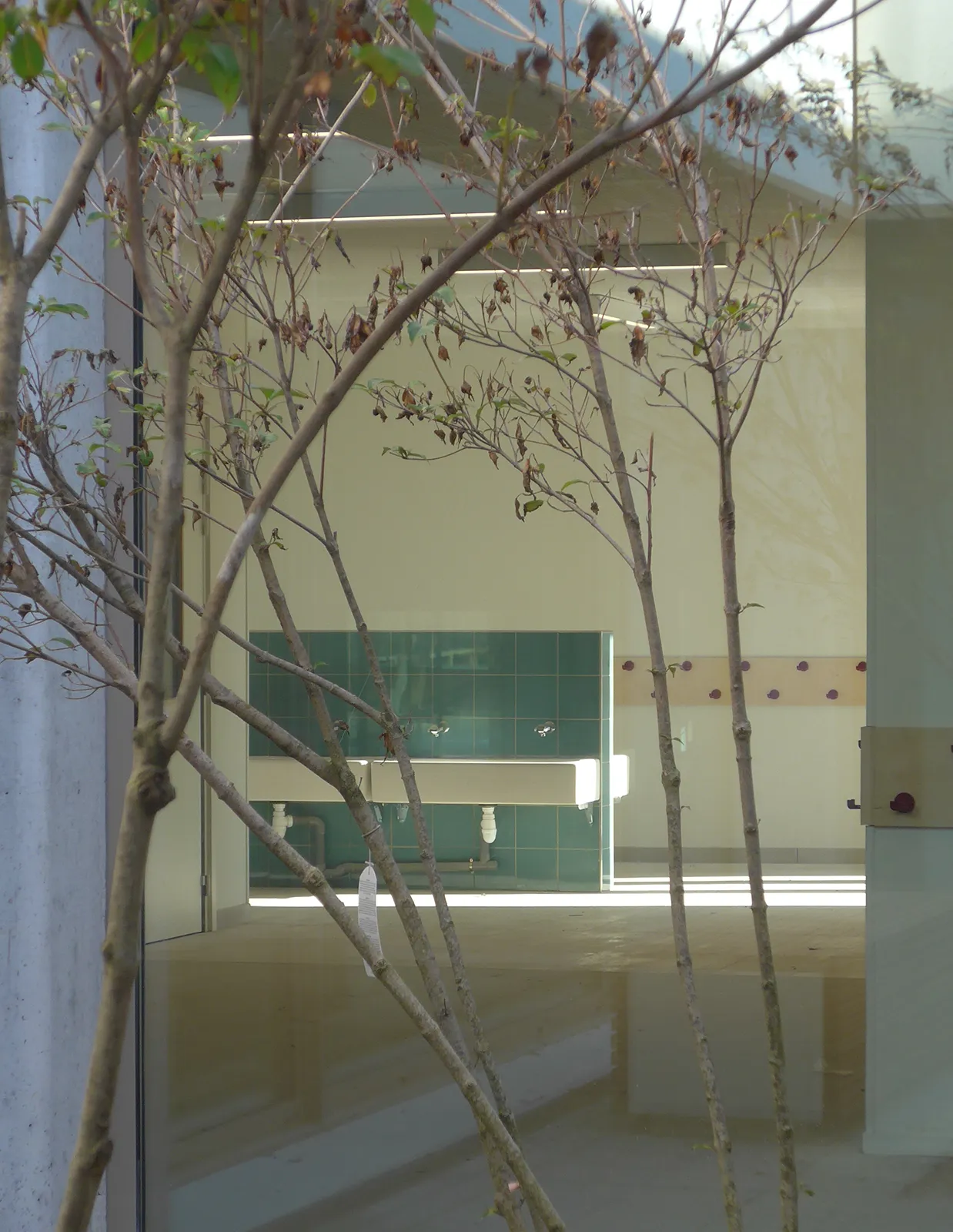 Vue du vestiaire restauration depuis un patio du groupe scolaire Chanteloup à Moissy-Cramayel