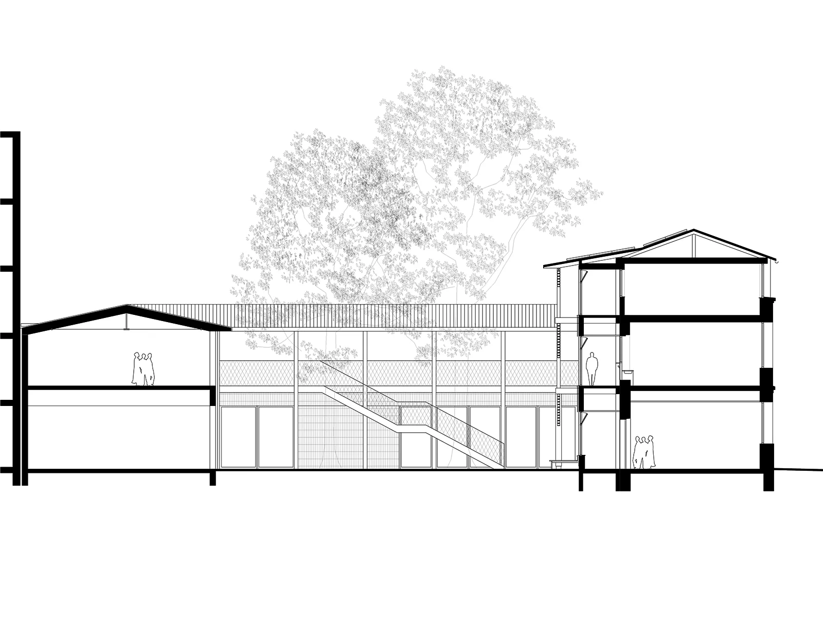Coupe sur l’extension et la surélévation de l’école Sainte-Cécile à Marseille