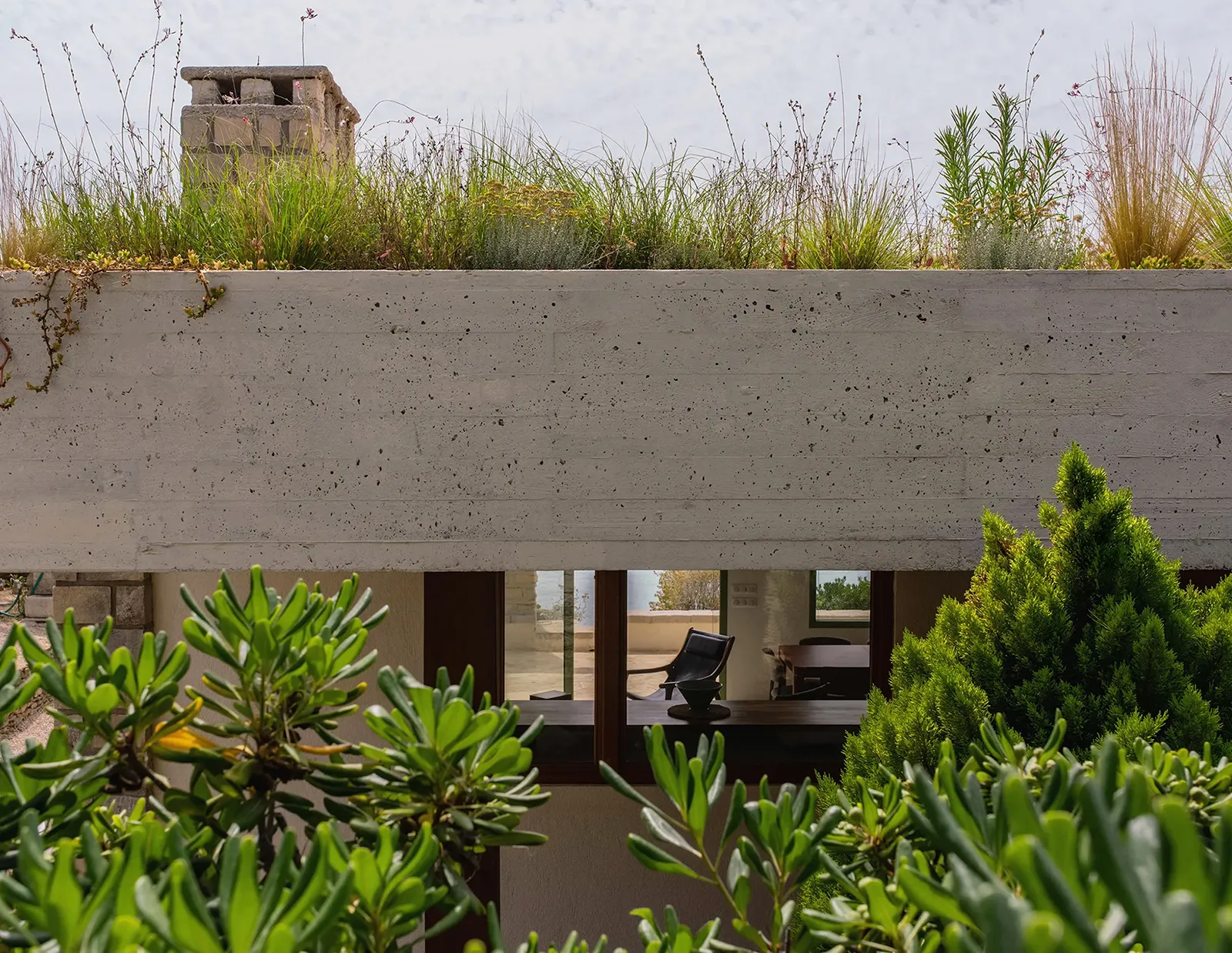 Toiture terrasse béton végétalisée de l’extension de la maison à Saint-Cyr-sur-Mer